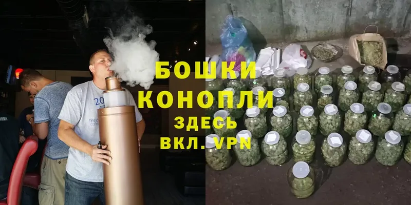 МАРИХУАНА THC 21%  нарко площадка наркотические препараты  Орехово-Зуево 